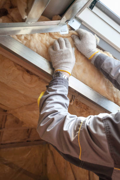 Best Commercial Insulation in Peralta, NM