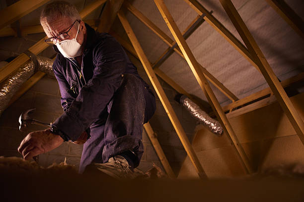 Best Insulation Maintenance and Repair in Peralta, NM