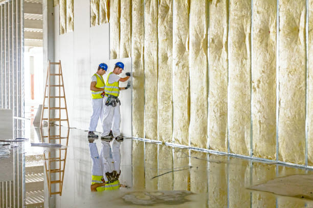Best Insulation Maintenance and Repair in Peralta, NM